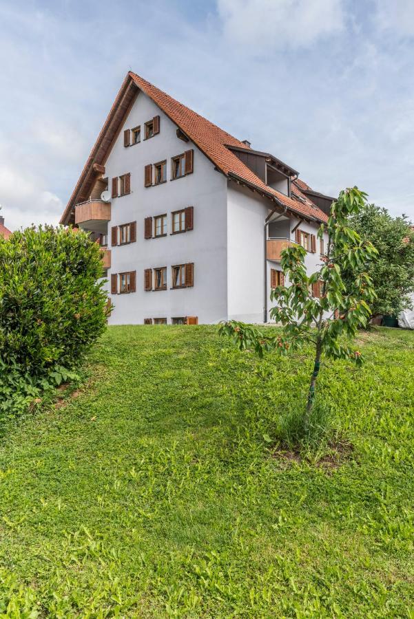 Rh-Appartements 15 Minuten Von Basel Im Dorf Ruehrberg 그렌자흐뷜렌 외부 사진